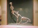 Smithsonian